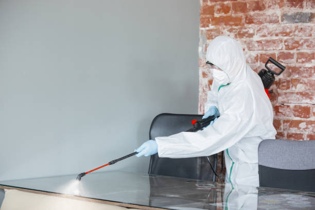 Forensic Mold Investigation in Occidental, CA