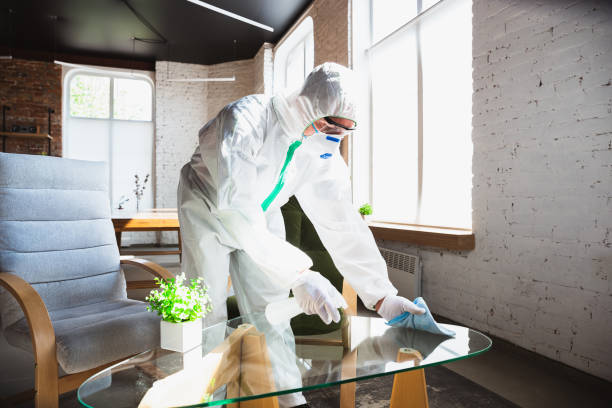 Mold Removal & Remediation