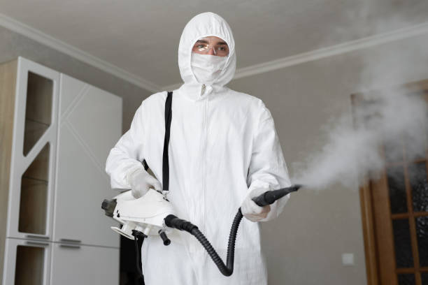 Trusted Occidental, CA Mold Removal & Remediation Experts