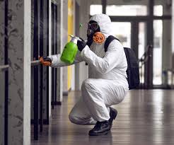 Mold Remediation for Vacation Homes in Occidental, CA